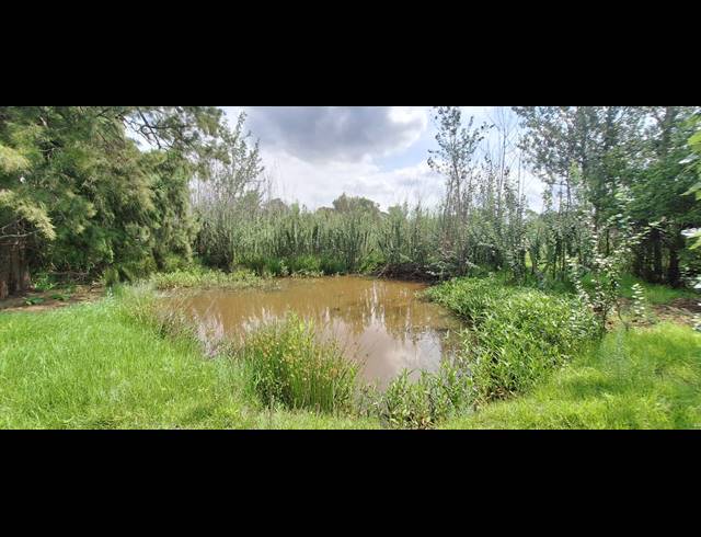 6HA SMALLHOLDING FOR SALE IN RUSTENBURG RURAL